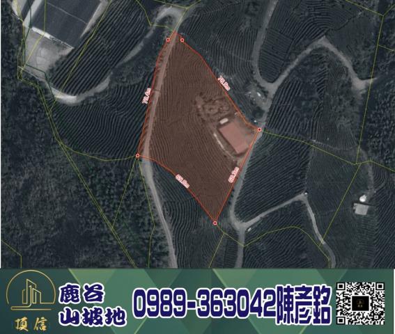 南投鹿谷工業地-10