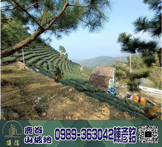 南投鹿谷工業地-0