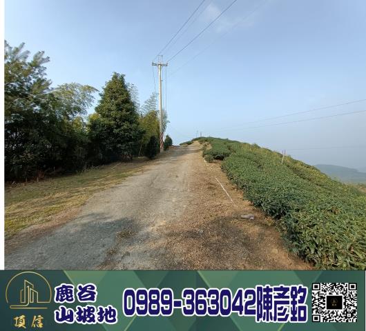 南投鹿谷工業地-8