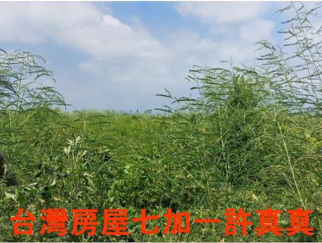 台南麻豆工業地-0