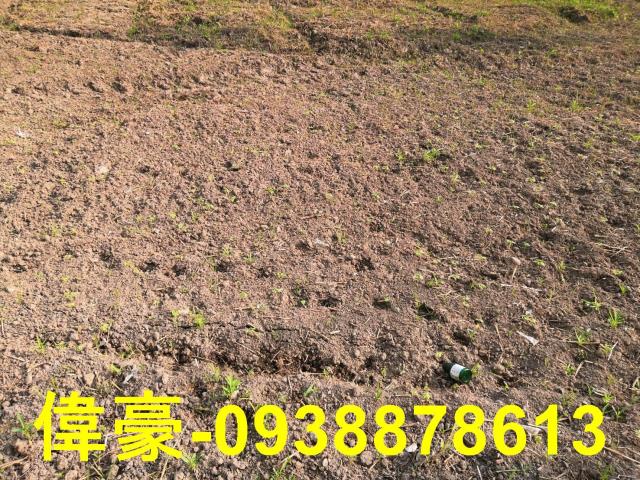 高雄梓官工業地-0