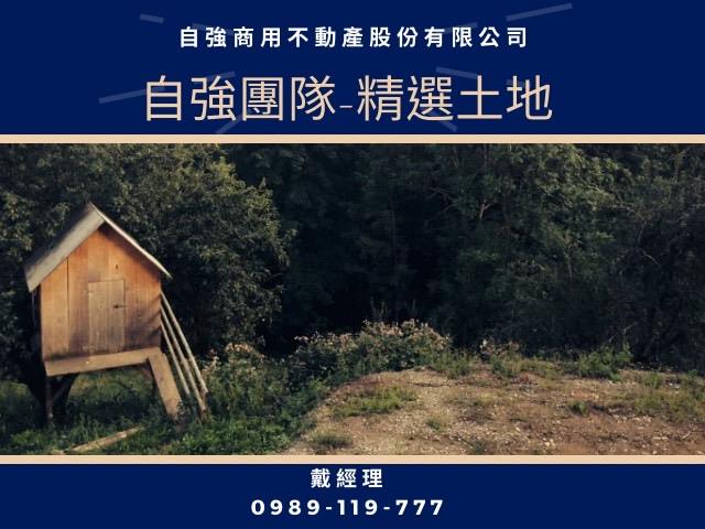 高雄燕巢工業地-0