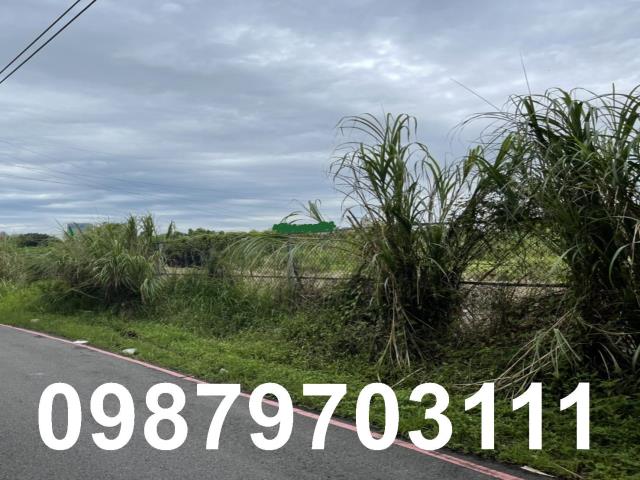 桃園蘆竹工業地-2