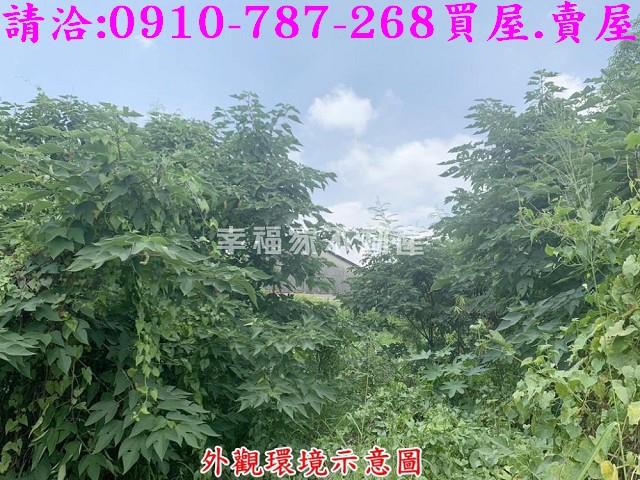 仁德工業地-6