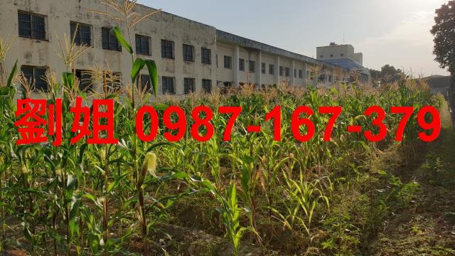 高雄工業地-0