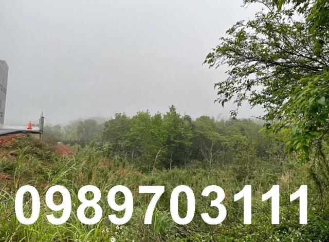 桃園龍潭工業地-1