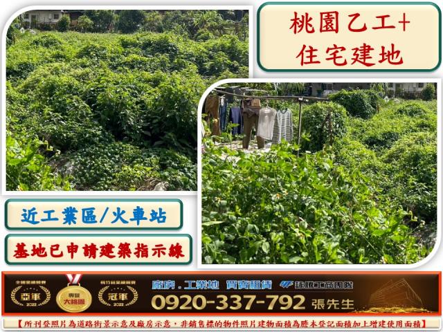 桃園桃園區工業地-0