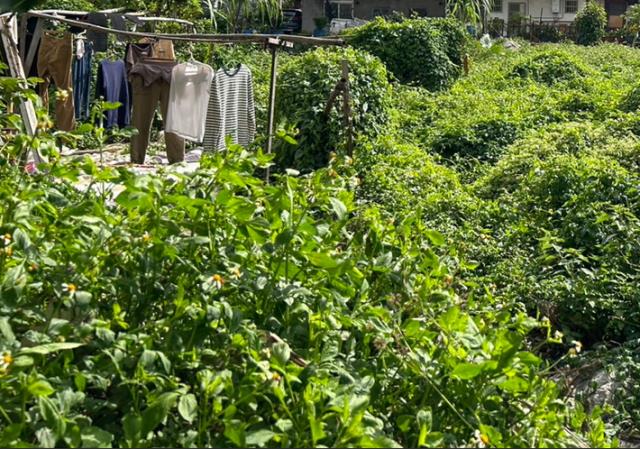 桃園桃園區工業地-2