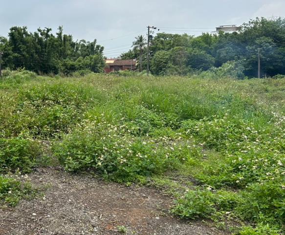 桃園新屋工業地-2