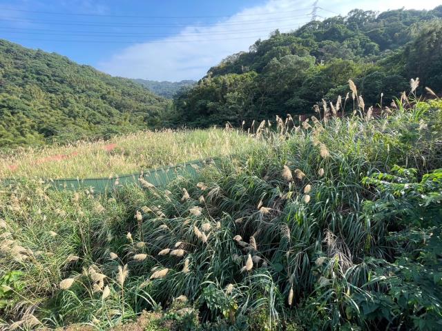 桃園龜山工業地-2