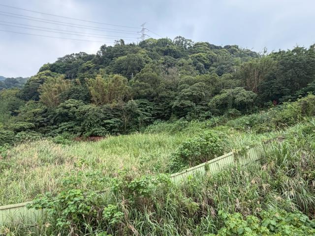 桃園龜山工業地-8