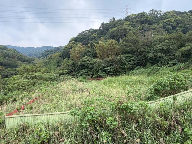 桃園龜山工業地-9