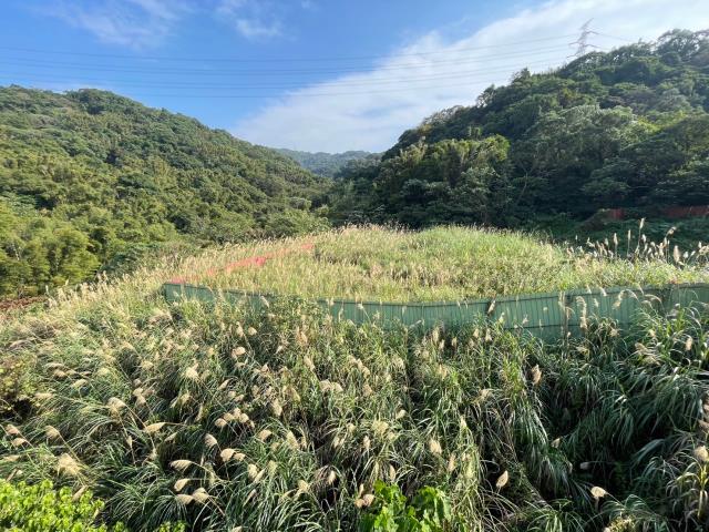 桃園龜山工業地-7
