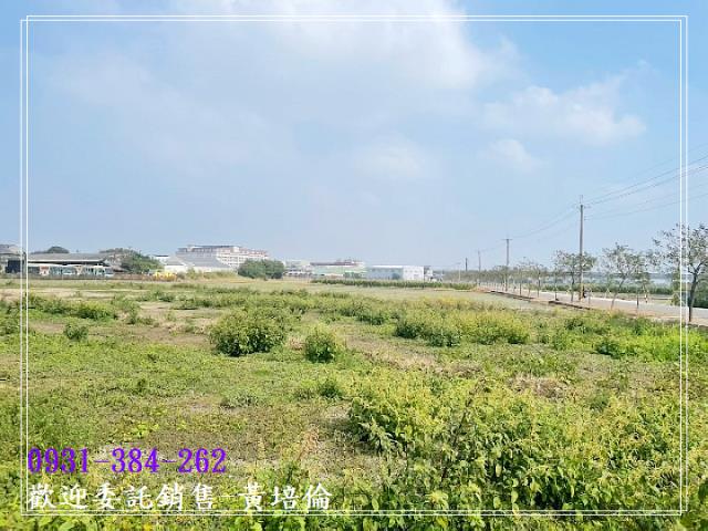 黃培倫的店鋪