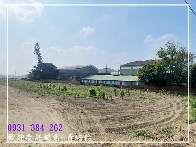 591黃培倫