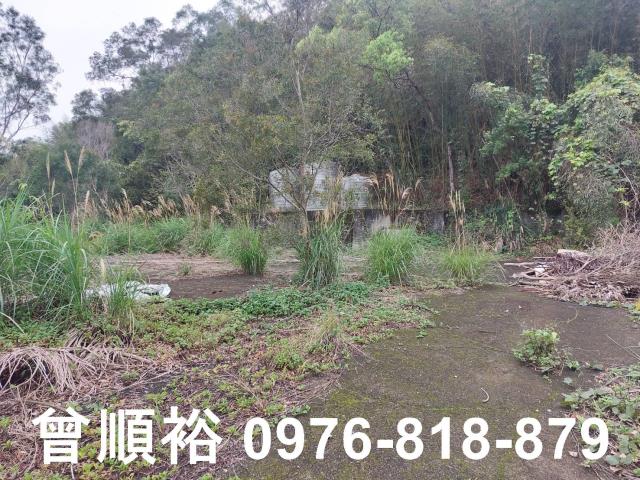 新竹工業地-7