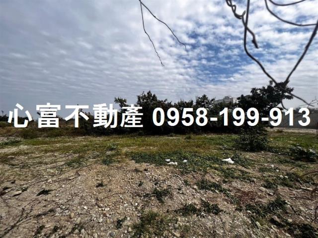 台南麻豆工業地-0