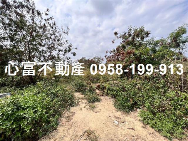 台南麻豆工業地-0