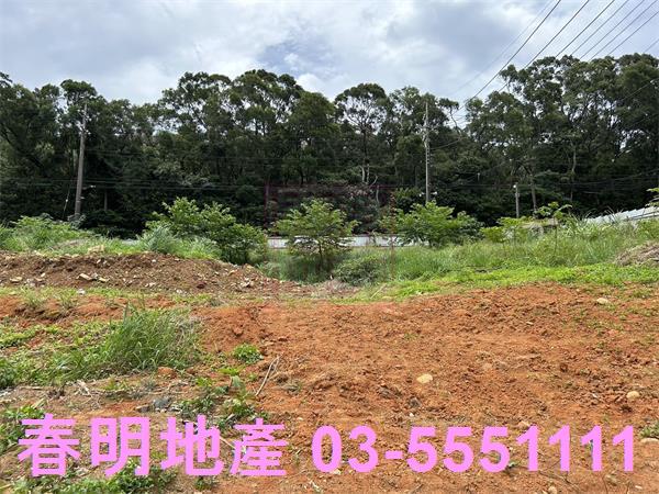 楊梅工業地-4