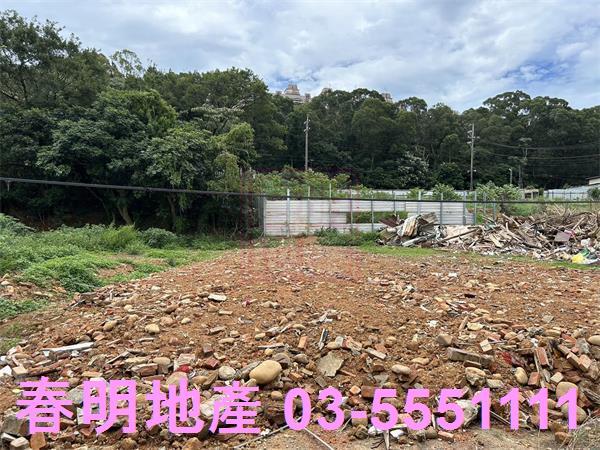 楊梅工業地-6