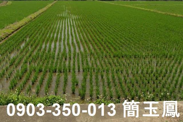 楊梅工業地-0