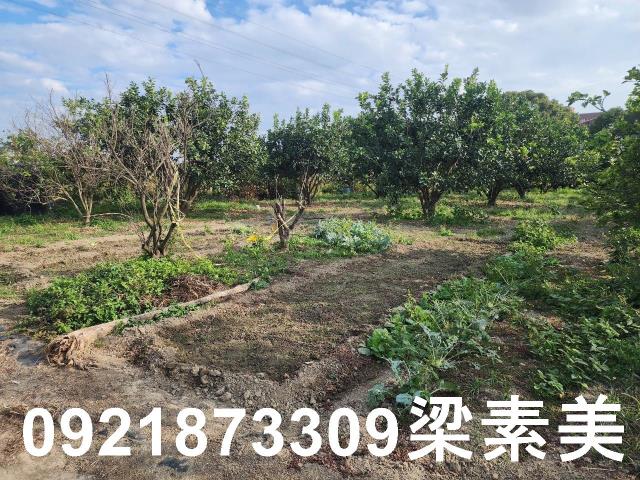 台南麻豆工業地-0