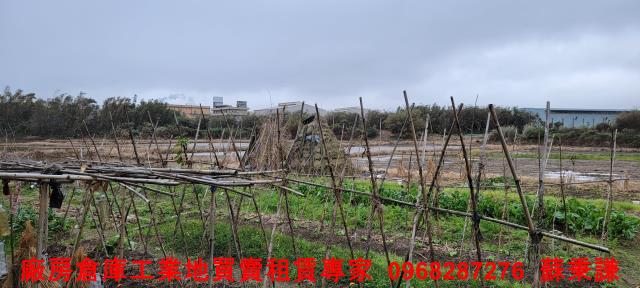 桃園工業地-0
