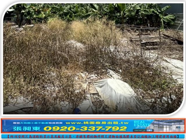 桃園蘆竹工業地-1