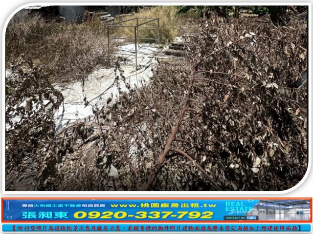 桃園蘆竹工業地-2