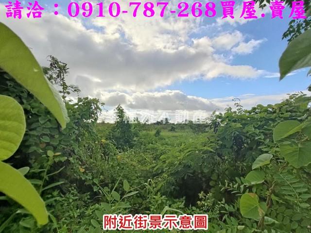 台南麻豆工業地-4