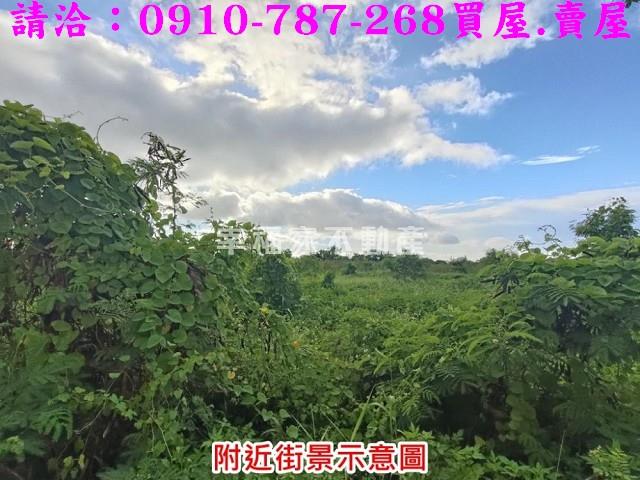 台南麻豆工業地-5