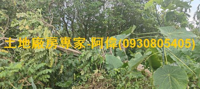 屏東工業地-0