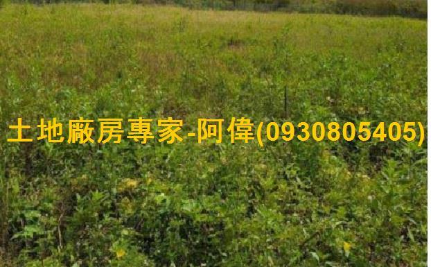 新營工業地-0