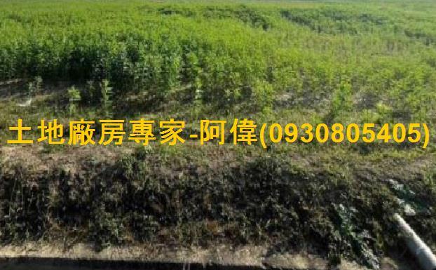 台南善化工業地-0