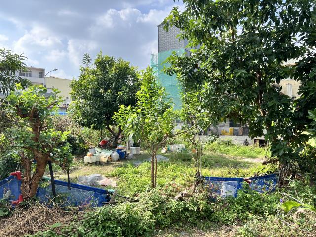 南投南投市工業地-5