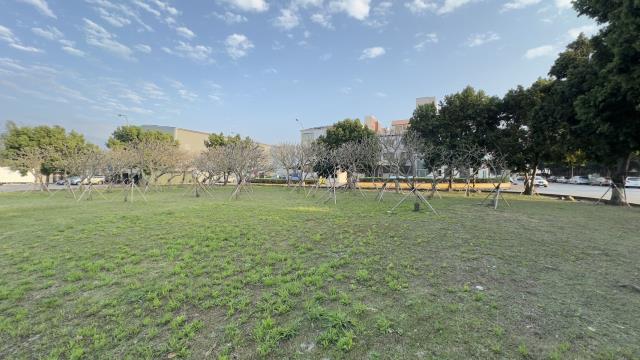 苗栗銅鑼工業地-3