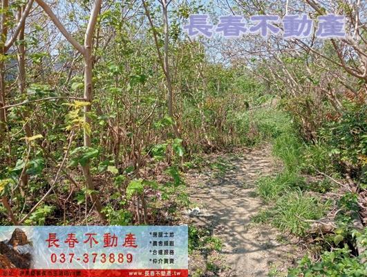 苗栗苗栗市工業地-0