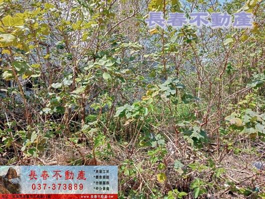 苗栗苗栗市工業地-1