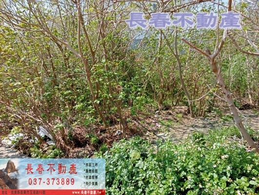 苗栗苗栗市工業地-3