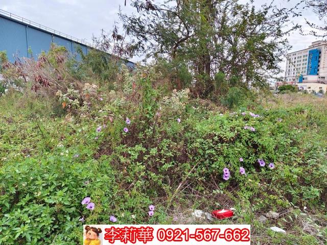 麻豆工業地-4