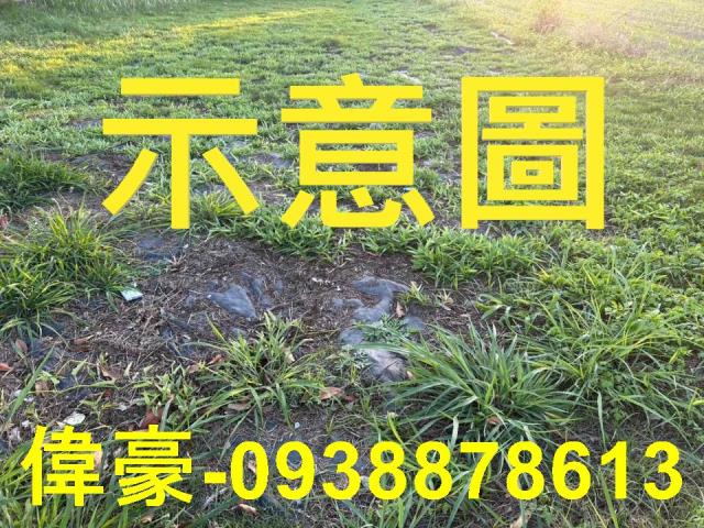 高雄湖內工業地-0