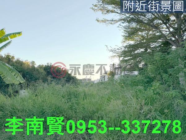 善化工業地-10