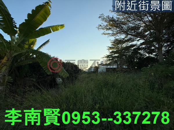 善化工業地-3