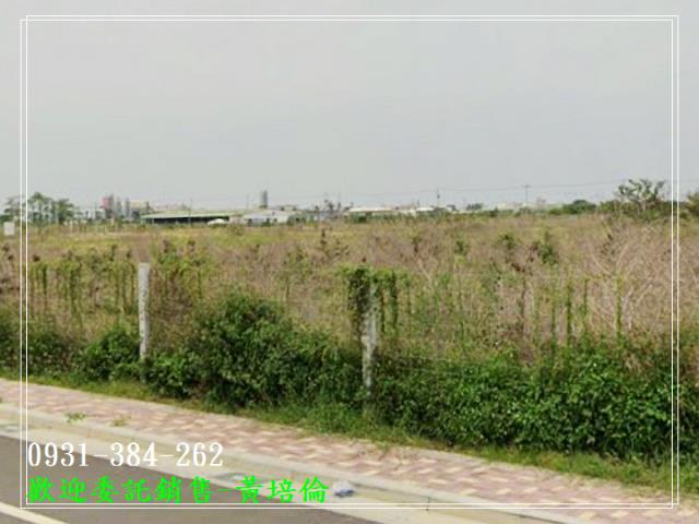 591黃培倫591