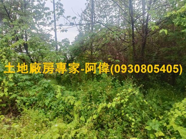 屏東工業地-0
