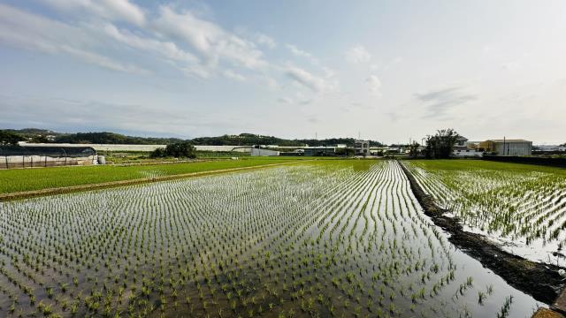 頭份工業地-0