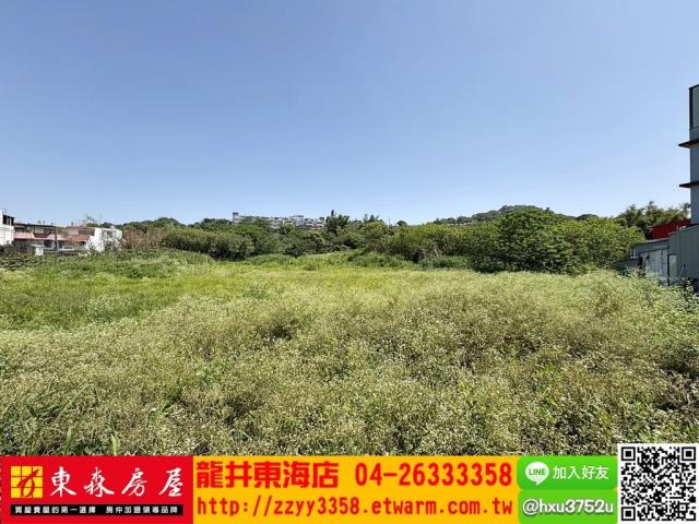 台中大肚工業地-2