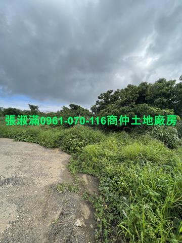 楊梅工業地-3