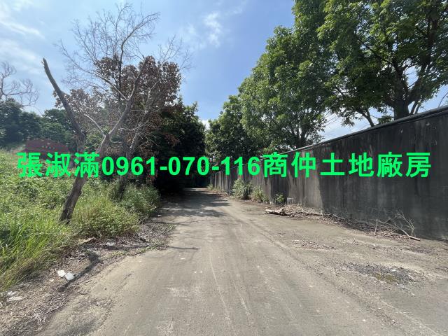 桃園大園工業地-0