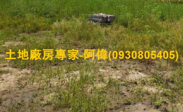 台南新營工業地-0